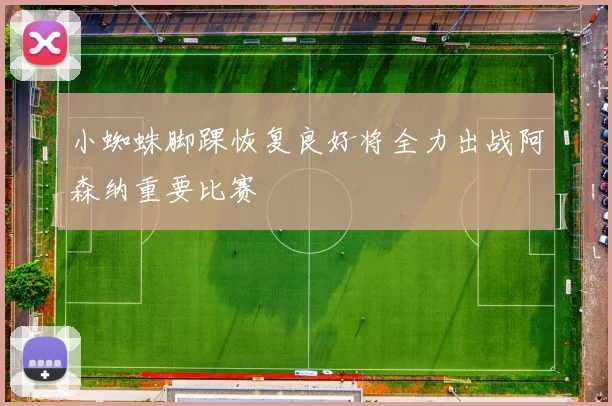小蜘蛛脚踝恢复良好将全力出战阿森纳重要比赛