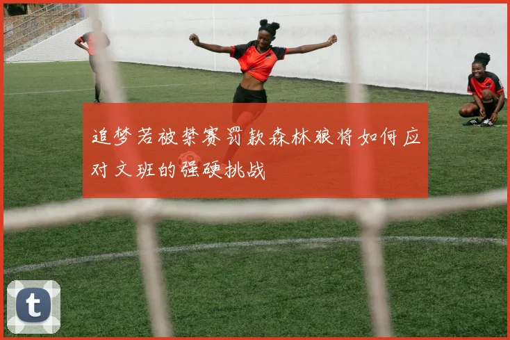 追梦若被禁赛罚款森林狼将如何应对文班的强硬挑战