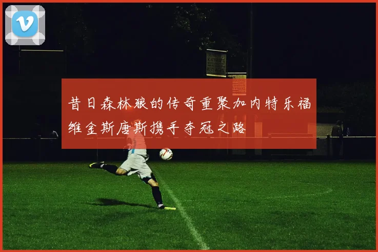 昔日森林狼的传奇重聚加内特乐福维金斯唐斯携手夺冠之路