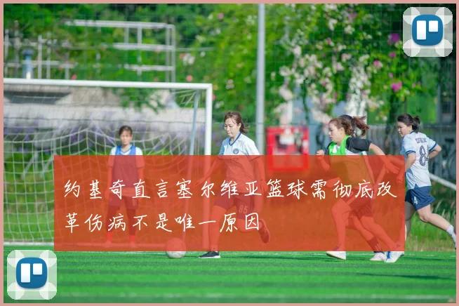 约基奇直言塞尔维亚篮球需彻底改革伤病不是唯一原因